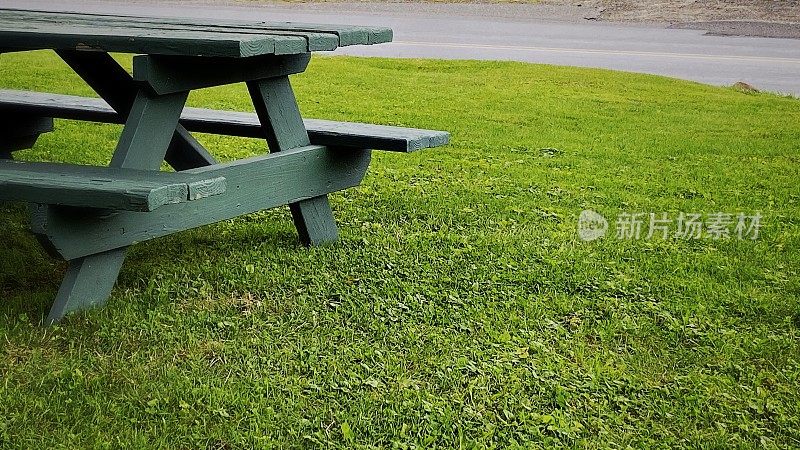Green Picnic Table on Grass